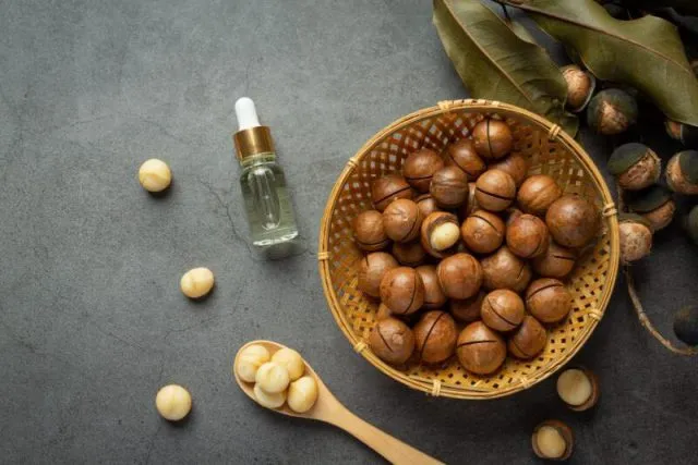 Orzechy macadamia - skarb Australii